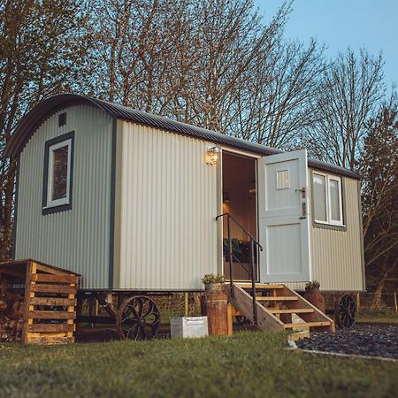 Shabby Shepherds 彭里斯 外观 照片